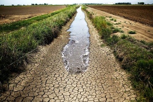 In its first phase.. A new insurance system covering this agricultural sector