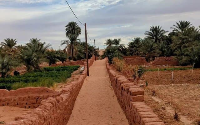 In Zghmir (Adrar): A hub of Saharan agro-economy