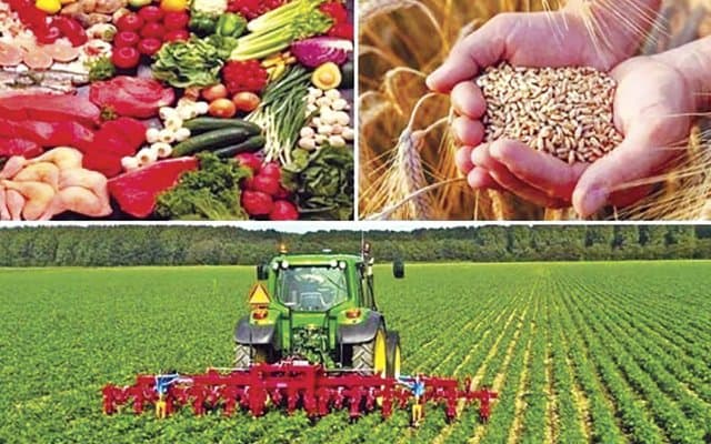 Industry and agriculture: towards a renewed ambitious alliance