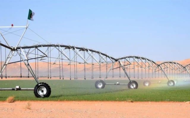 Innovative Agriculture: Algerian Agritech Impresses