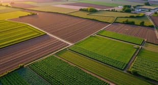 Instructions to Accelerate the Settlement of Agricultural Land and Overcome Field Obstacles