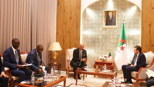 International Organization Presents Technical and Financial Proposal for Agricultural Projects in Algeria