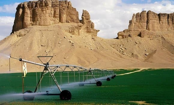 Investment Fair in Saharan Agriculture in Ouargla: Strategic Crops on the Agenda