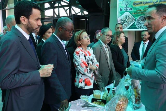 Investment of youth in the green economy: Launch of a national digital platform