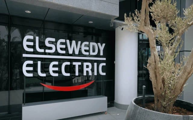 Investment: The El Sewedy Electric Lesson
