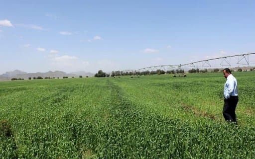Iraq Bans Import of 11 Agricultural Products