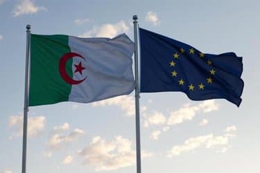 Iron Quota, Carbon Tax, and Shadow Points in the European Partnership Agreement