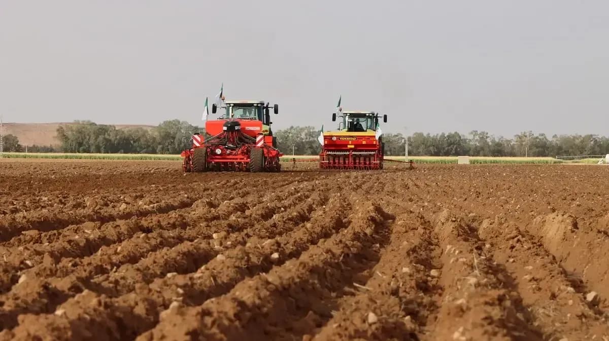 Italy in the lead, France in support: Agricultural diplomacy is active in Algiers