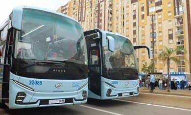 "Ittouza": Transportation services across all "Ittouza" lines will be free throughout tomorrow, Thursday, July 2 - Iqtissad Al Balad