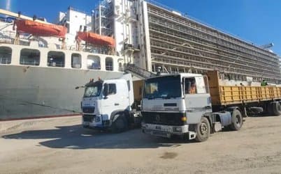 Jijel: A ship docks at the Djendjen port coming from Romania loaded with more than 81,000 heads of sheep
