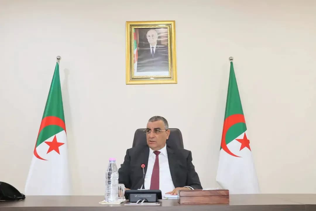 Jlaoui chairs a meeting to monitor the progress of strategic projects in the sector