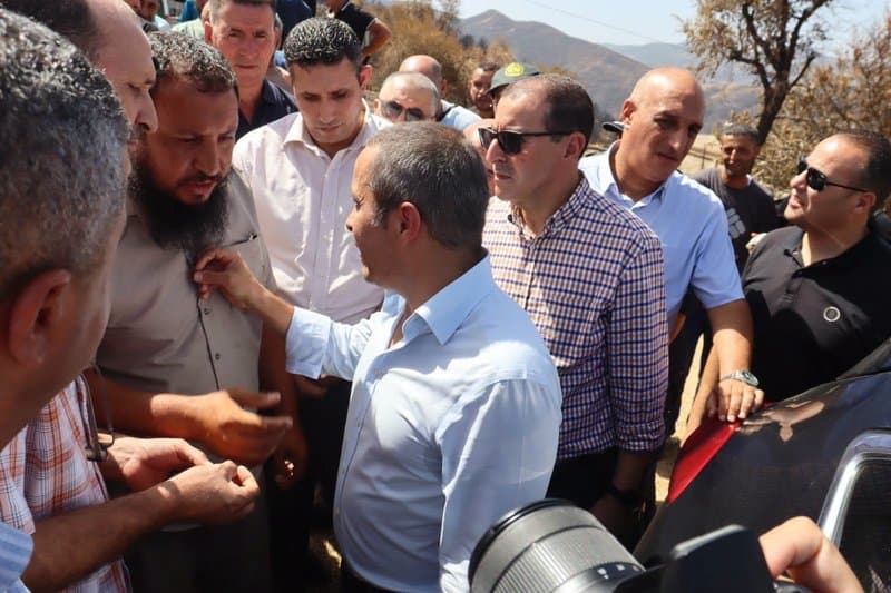 Khaldi: "All losses of affected farmers will be compensated, regardless of their type"