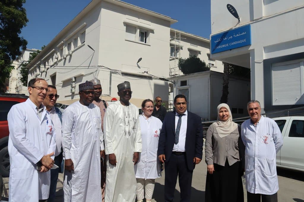 Kidney Diseases and Organ Transplantation.. A Nigerian Delegation Visits Mustafa Pasha Hospital - Iqtissad Al Balad
