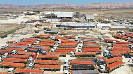 Launch of a dedicated pole for food processing industries in Ain Defla