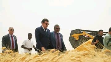 Launch of the First Wheat Harvest Operation under the Algerian-Italian Partnership Project - Iqtissad Al Balad