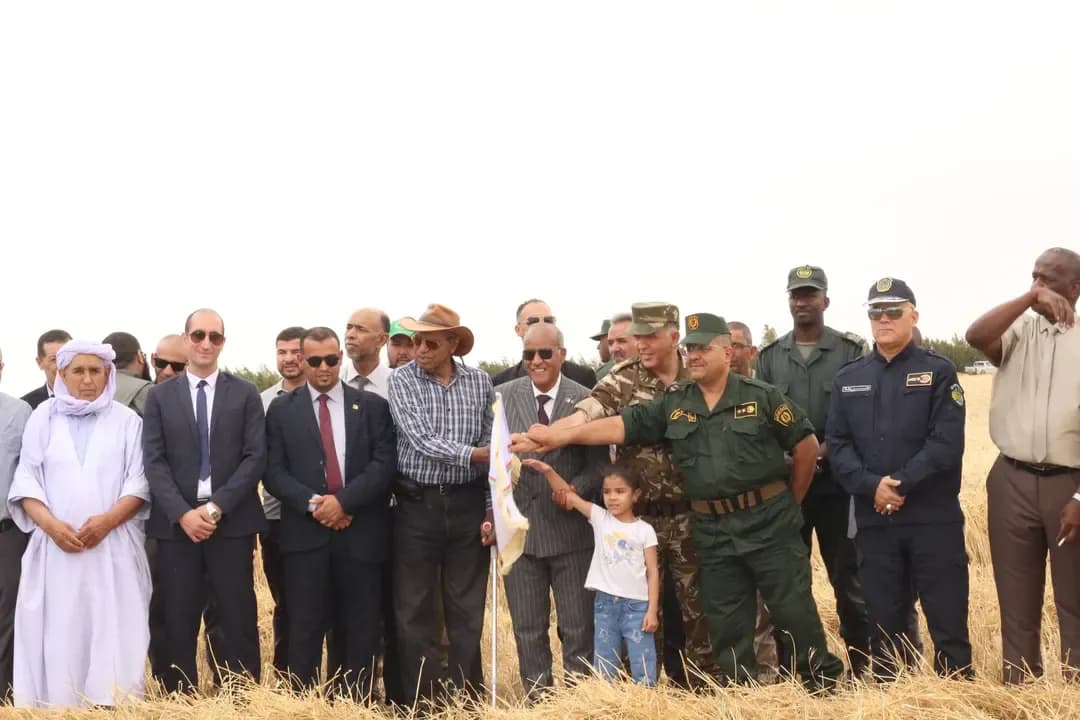 Launch of the harvest and threshing campaign amid expectations of production exceeding 1.3 million quintals