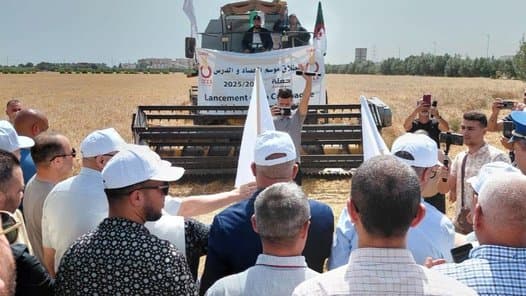 Launch of the Harvest and Threshing Campaign for the 2025-2026 Season in Algiers