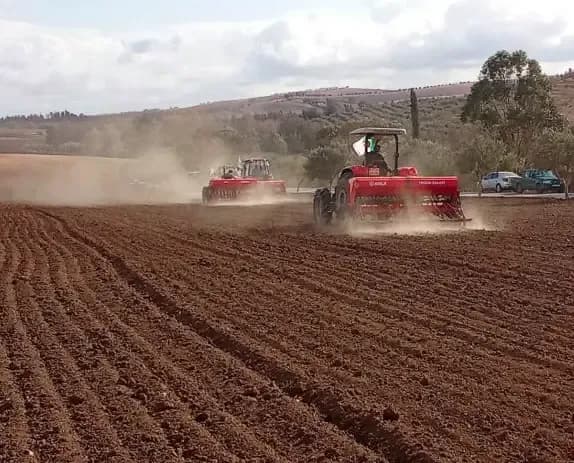 Launch of the plowing and sowing campaign in several central provinces