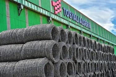 Luxurious Algerian Steel for Cars and Home Appliances Starting from July