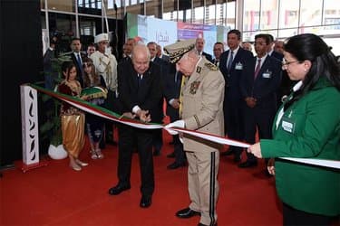 Major factories begin production and the president receives detailed reports at the exhibition palace!