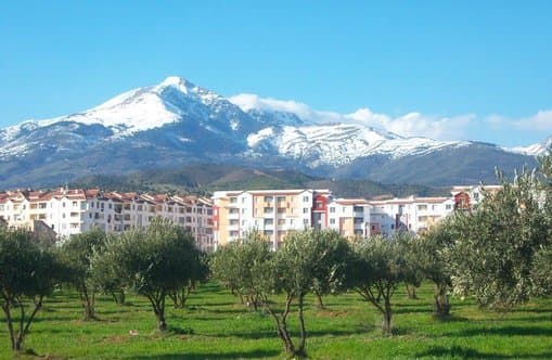 M'chedallah (Bouira Province): An Economic Hub at the Foot of Djurdjura