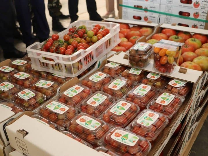 M'ghir: Export of 80 tons of tomato products to Spain