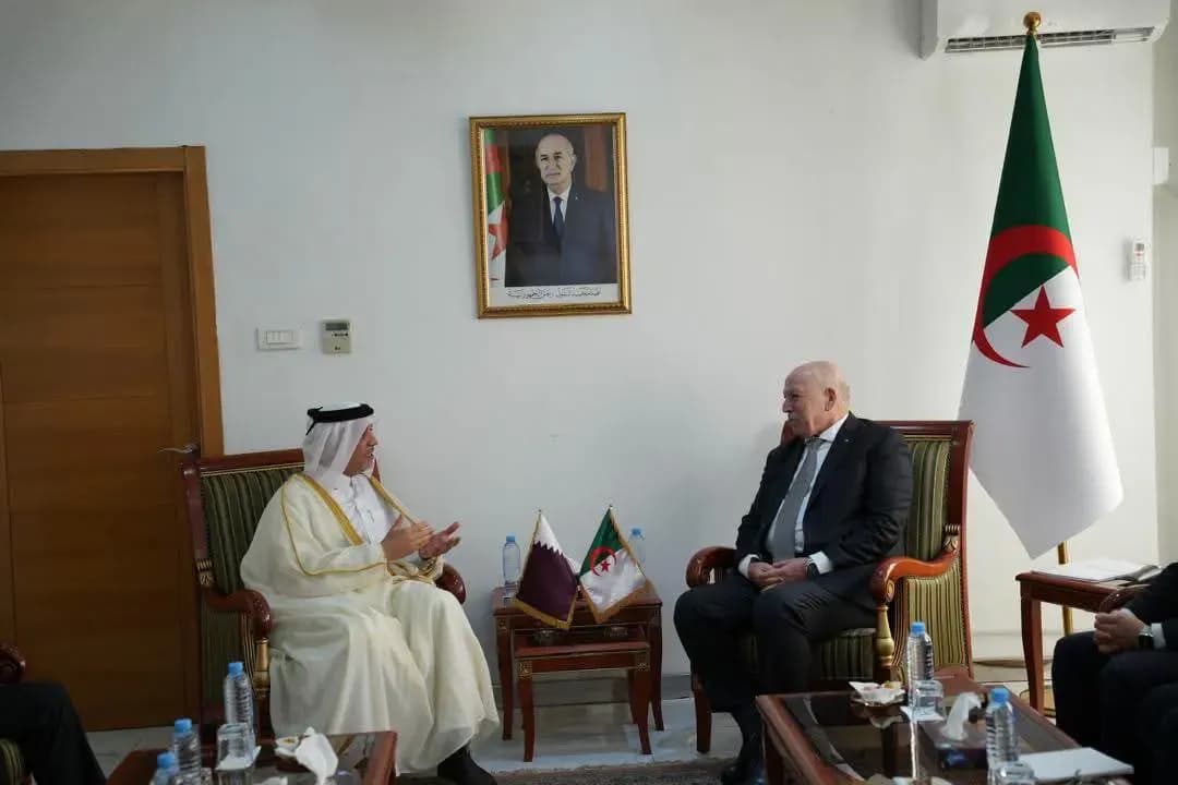 Minister of Industry Reviews Progress of Partnership Projects with Qatari Ambassador