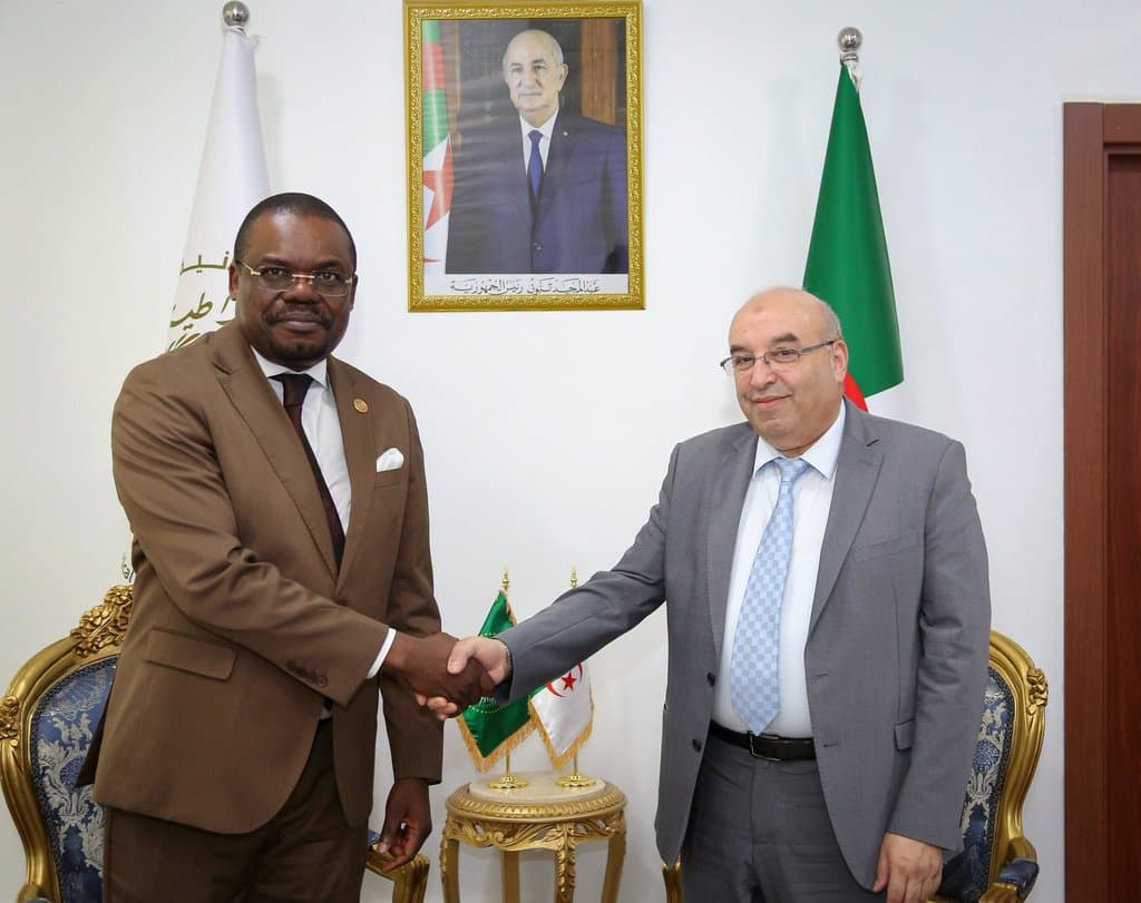 Minister of Pharmaceutical Industry Discusses Drug Development in the Continent with the African CDC
