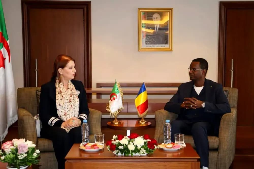Minister of Tourism and Traditional Industry Receives Her Chadian Counterpart
