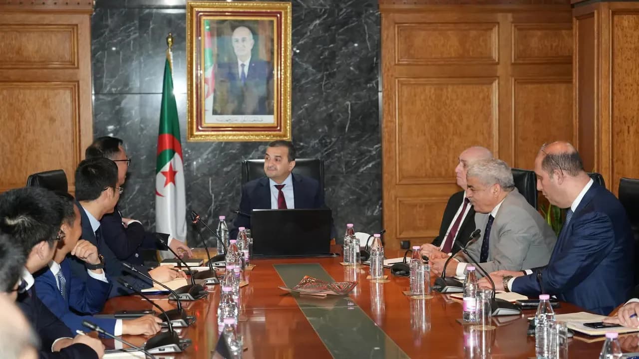 Minister Receives Executive Director of Chinese "Anton" Group