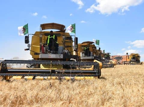 Ministry of Agriculture Announces Measures to Facilitate Harvesting Process and Provide Equipment
