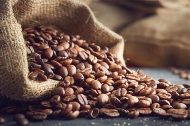 Ministry of Trade Requests Coffee Stock Reports, Invoices, and Prices in Dollars!