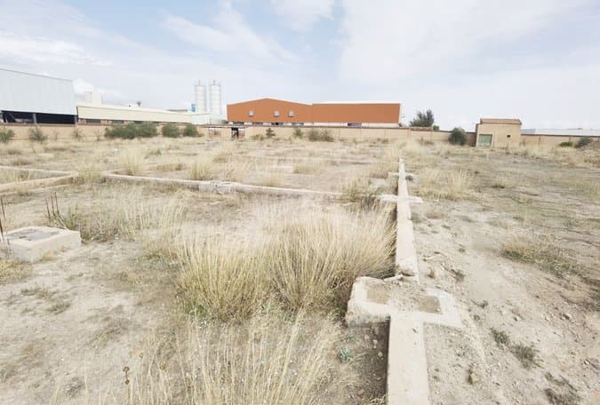Modernization of land management: The 'marching wing' of economic diversification
