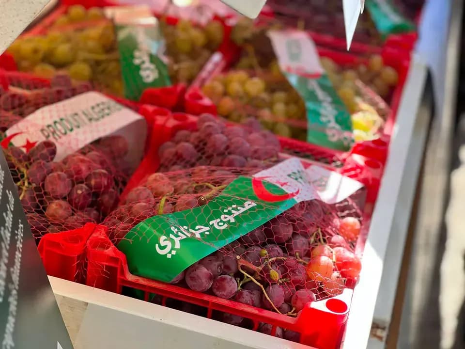 More than 50 exhibitors participate in the national grape exhibition