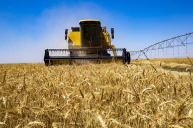 Mostaganem: The first cereal cooperative is born