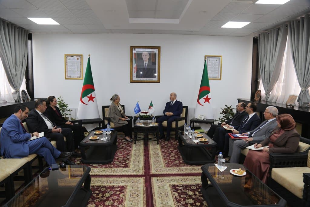 Mr. Sayhi discusses ways to enhance cooperation with the UN Resident Coordinator in Algeria