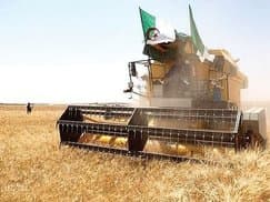 National events organized to commemorate World Day to Combat Desertification and Drought tomorrow, Wednesday
