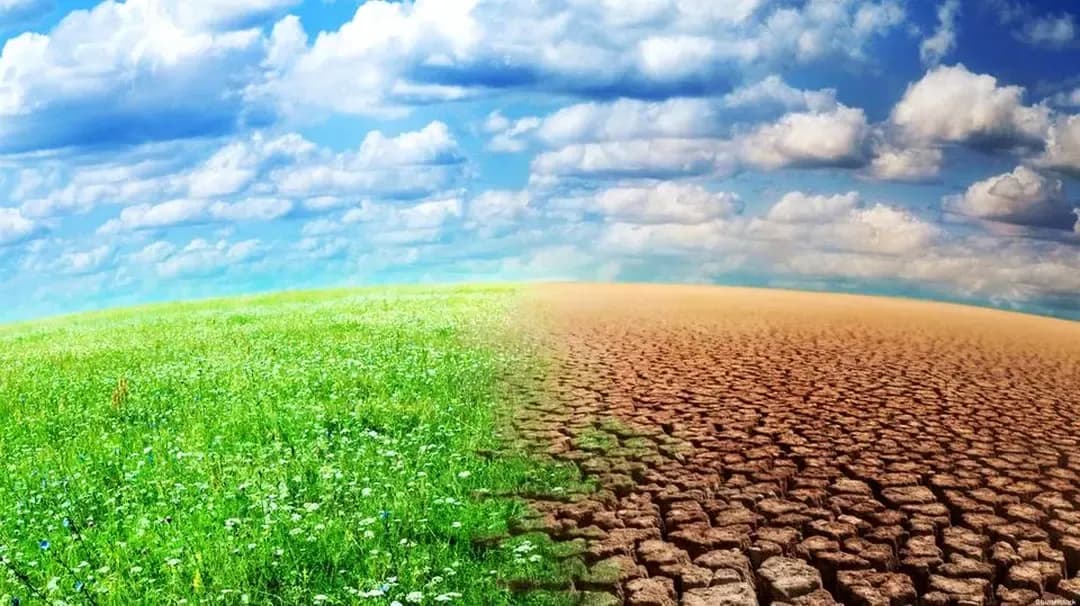 National events organized to commemorate World Day to Combat Desertification and Drought tomorrow, Wednesday
