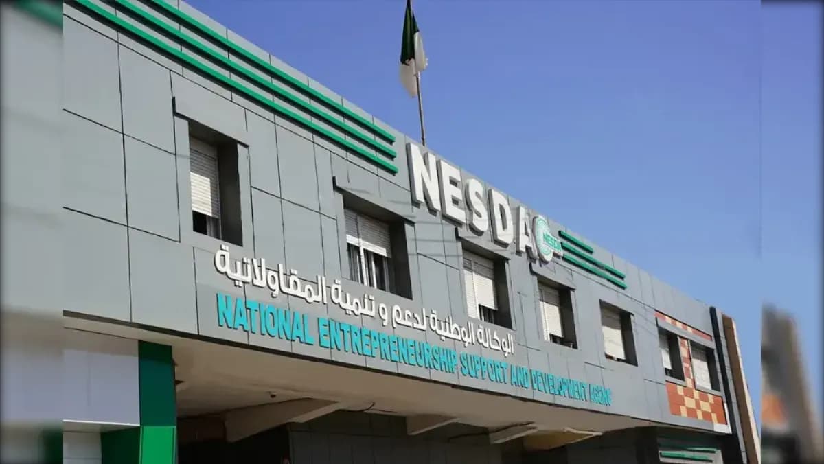 NESDA: Establishment of 7009 micro-enterprises since October 2025