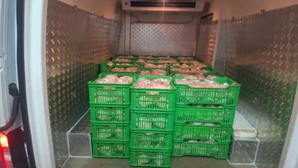 New Agreement to Regulate Chicken Prices
