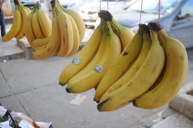 New details about the import of bananas, meat, and spare parts