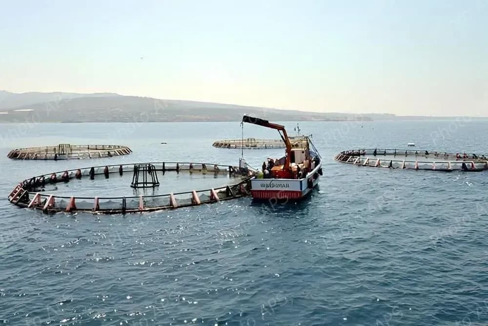 New facilities in the field of equipment acquisition will soon come into effect