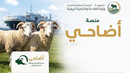 New figures from 'Ahdahi'.. Are sheep shipments nearing the million goal?