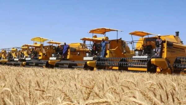 New measures to facilitate the harvest campaign