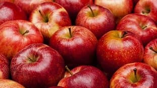 New measures to regulate the apple market in Algeria