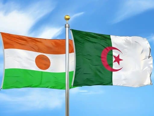Niger's Minister of Mines on a Working Visit to Algeria