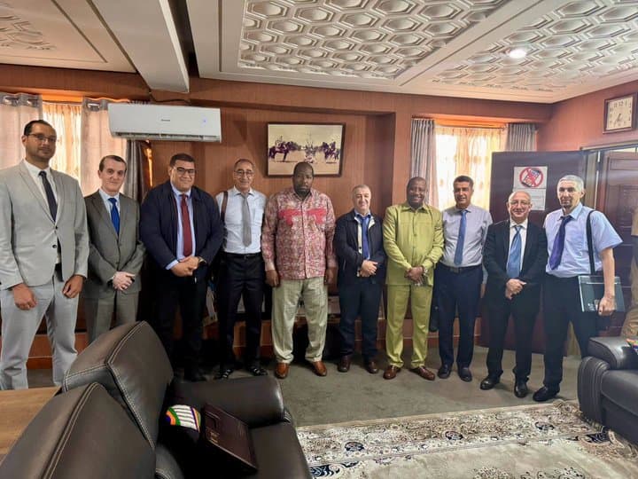 Niger's Minister of Trade and Industry Receives Delegation from Naftal in Niamey