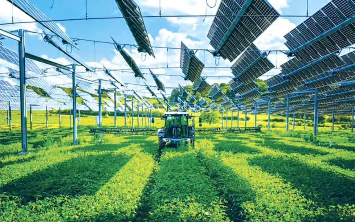 Nurseries, agriculture, tourism and PAM: The new levers for the GGR's recovery