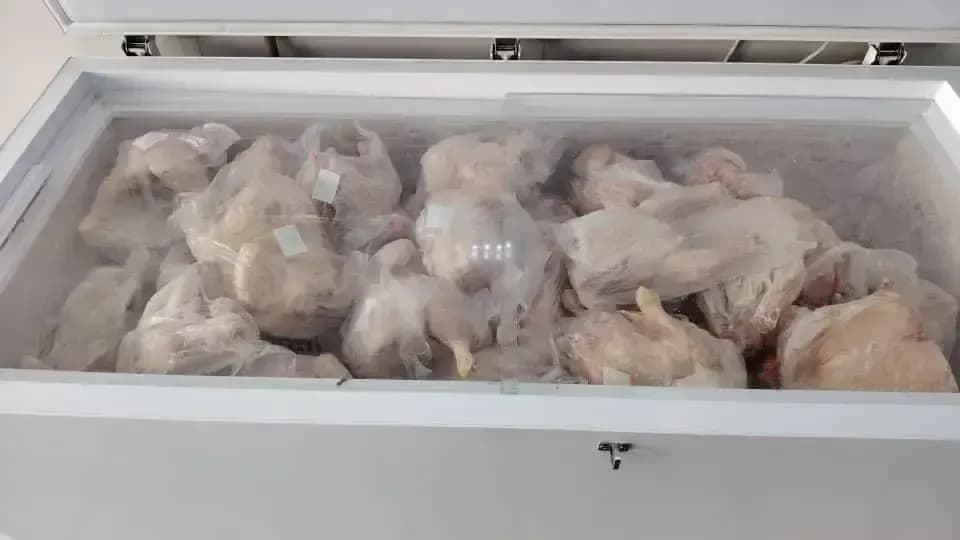 "ONAB" continues to market frozen chicken through 143 sales points nationwide at a reduced price