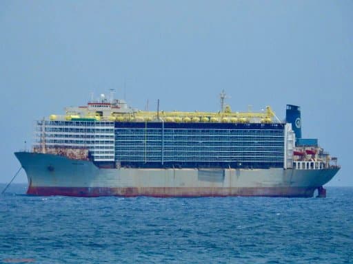 One of the largest livestock carriers in the world approaches the port of Djendjen